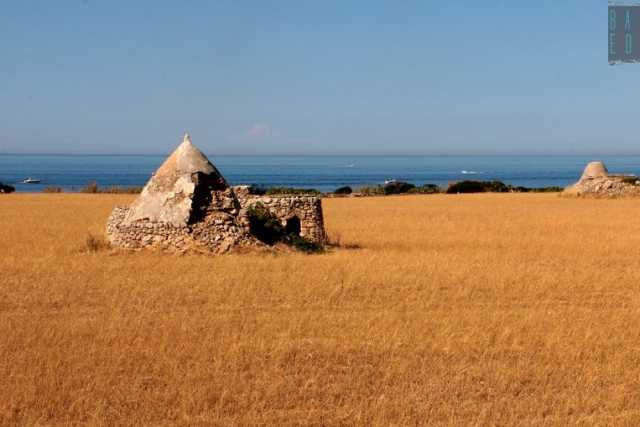 Il parco dei trulli, scenario da cartolina che rischia di trasformarsi per sempre